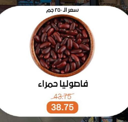 البقول، الفول والحبوب in بيت الجملة, Egypt Offers - Egypt available at بيت الجملة in Egypt - القاهرة