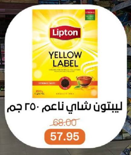 شاى و قهوة in بيت الجملة, Egypt Offers - Egypt ليبتون مسحوق الشاي available at بيت الجملة in Egypt - القاهرة