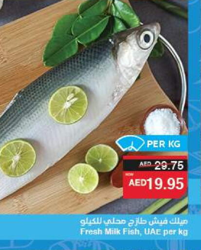 الأسماك الطازجة in سبار هايبرماركت, UAE Offers - الإمارات العربية المتحدة available at سبار هايبرماركت in الإمارات العربية المتحدة , الامارات - الشارقة / عجمان