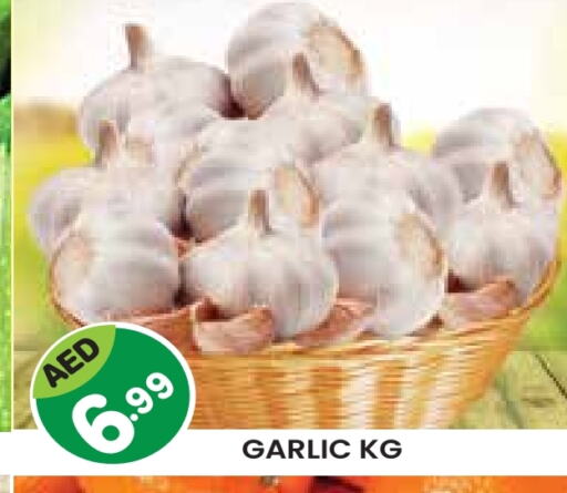 Garlic available at Baniyas Spike  in UAE - Al Ain