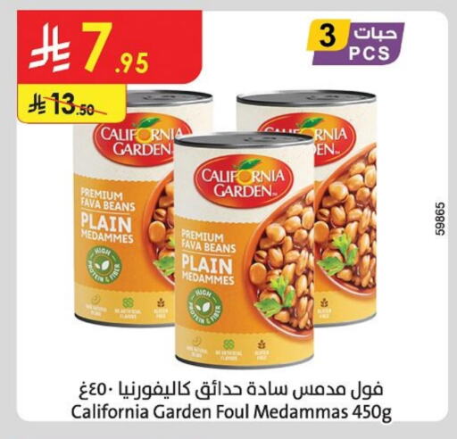 CALIFORNIA GARDEN Fava Beans available at Danube in KSA, Saudi Arabia, Saudi - Buraidah