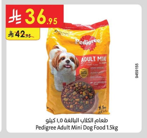 Pets in Danube, Saudi Arabia Offers - Saudi Arabia available at Danube in KSA, Saudi Arabia, Saudi - Hail