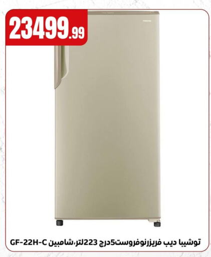 Large Appliances in El Mahlawy Stores, Egypt Offers - Egypt Freezer available at El Mahlawy Stores in Egypt - Cairo