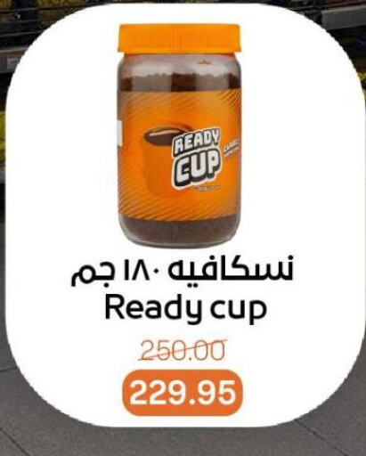 Salts, Spices & Paste in Beit El Gomla, Egypt Offers - Egypt available at Beit El Gomla in Egypt - Cairo