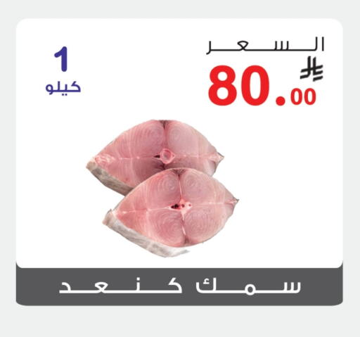 Fresh Fish in Al Rasheed Markets, Saudi Arabia Offers - Saudi Arabia available at Al Rasheed Markets in KSA, Saudi Arabia, Saudi - Riyadh