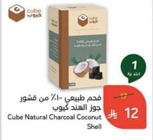 الأثاث الخارجي و الحديقة in هايبر بنده, المملكة العربية السعودية Offers - المملكة العربية السعودية Coconut available at هايبر بنده in مملكة العربية السعودية, السعودية, سعودية - القنفذة