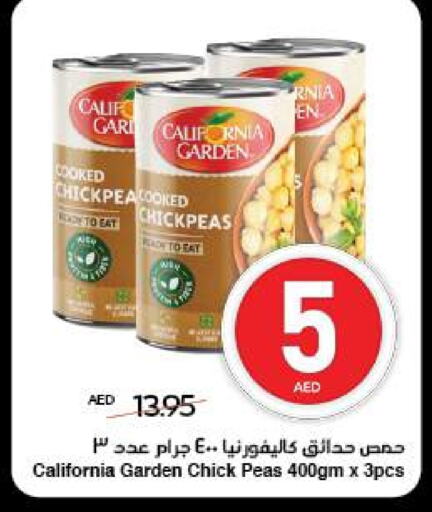 كاليفورنيا جاردن حمص available at سبار هايبرماركت in الإمارات العربية المتحدة , الامارات - الشارقة / عجمان