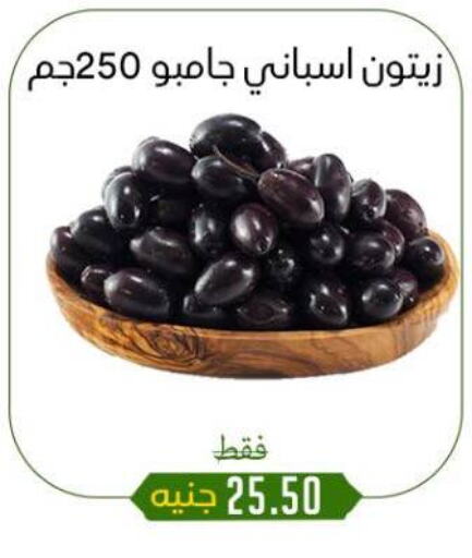 أغذية معلبة ومغلفة in خان الحسين, Egypt Offers - Egypt available at خان الحسين in Egypt - القاهرة