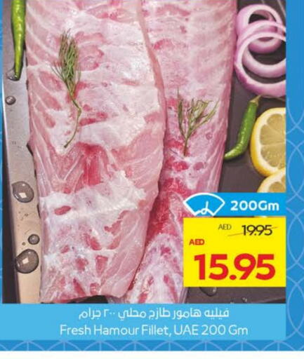 Fresh Fish in Megamart Supermarket , UAE Offers - United Arab Emirates available at Megamart Supermarket in UAE - Sharjah / Ajman