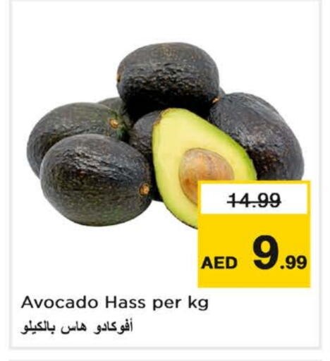 أفوكادو available at لاست تشانس in الإمارات العربية المتحدة , الامارات - ٱلْفُجَيْرَة‎