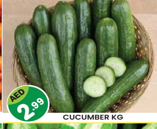 Cucumber available at Baniyas Spike  in UAE - Al Ain