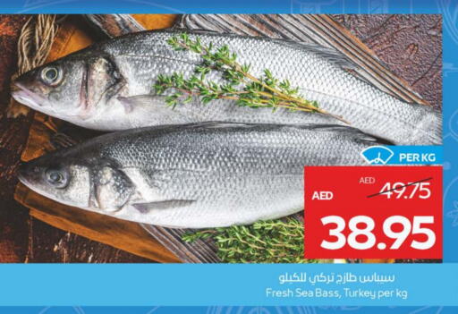 الأسماك الطازجة in ميغا مارت سوبر ماركت, UAE Offers - الإمارات العربية المتحدة available at ميغا مارت سوبر ماركت in الإمارات العربية المتحدة , الامارات - الشارقة / عجمان