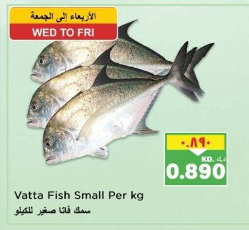 available at Nesto Hypermarkets in Kuwait - Ahmadi Governorate