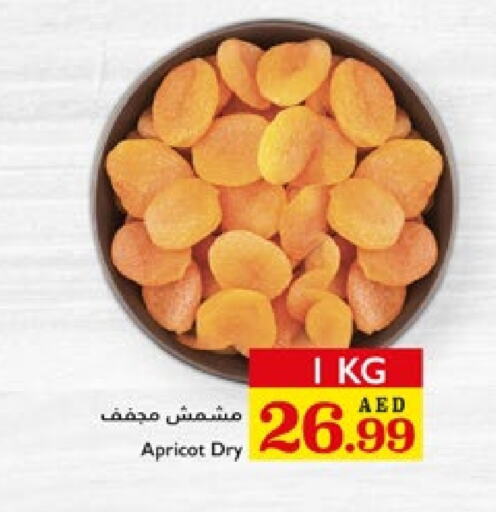 الفواكه المجففة و التمور in تروليز سوبرماركت, UAE Offers - الإمارات العربية المتحدة Apricot available at تروليز سوبرماركت in الإمارات العربية المتحدة , الامارات - الشارقة / عجمان