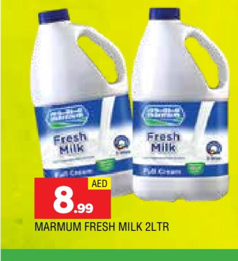 MARMUM Fresh Milk available at AL MADINA in UAE - Sharjah / Ajman