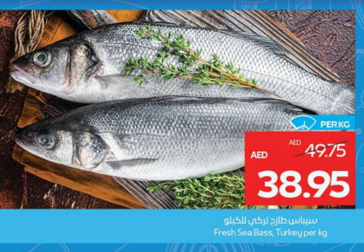 available at ADCOOP in UAE - Abu Dhabi