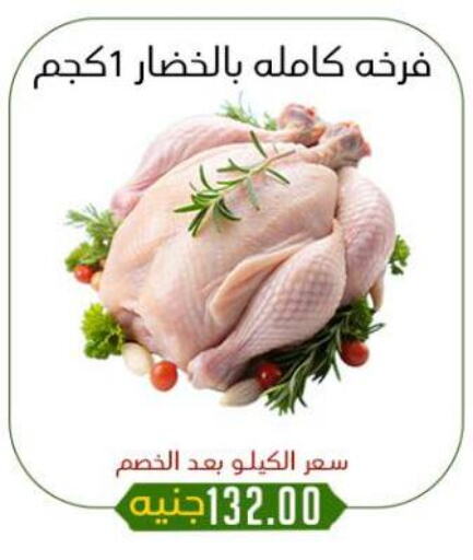 دجاج in خان الحسين, Egypt Offers - Egypt available at خان الحسين in Egypt - القاهرة