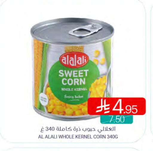 العلالي available at اسواق المنتزه in مملكة العربية السعودية, السعودية, سعودية - سيهات