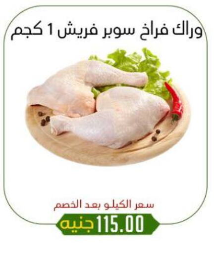 دجاج in خان الحسين, Egypt Offers - Egypt available at خان الحسين in Egypt - القاهرة