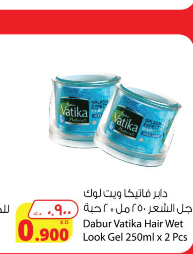 Hair Care in Agricultural Food Products Co., Kuwait Offers - Kuwait DABUR Hair Gel & Spray available at Agricultural Food Products Co. in Kuwait - Jahra Governorate
