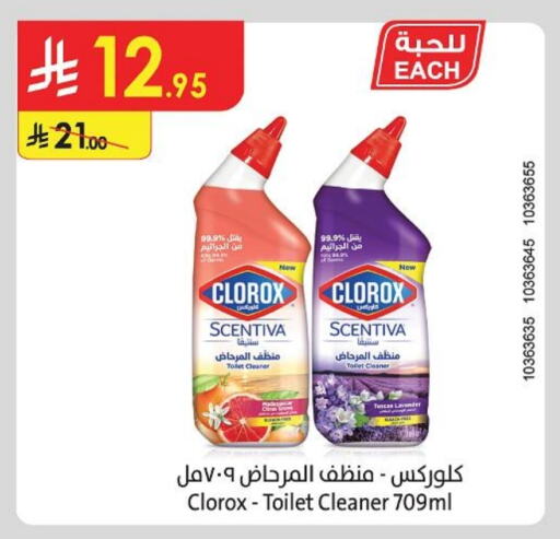Cleaning in Danube, Saudi Arabia Offers - Saudi Arabia CLOROX Toilet / Drain Cleaner available at Danube in KSA, Saudi Arabia, Saudi - Khamis Mushait
