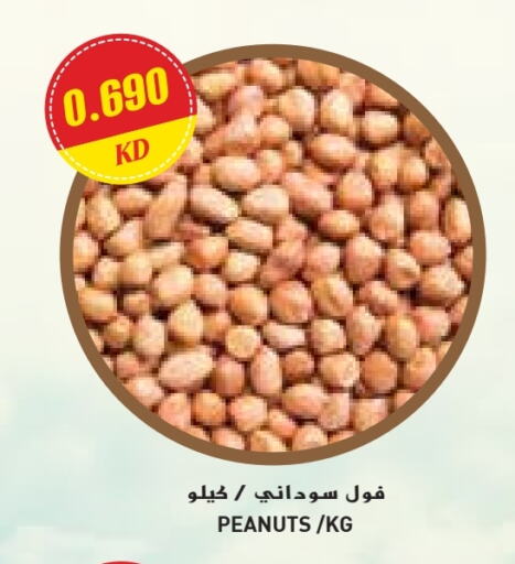 available at جراند كوستو in الكويت - محافظة الأحمدي
