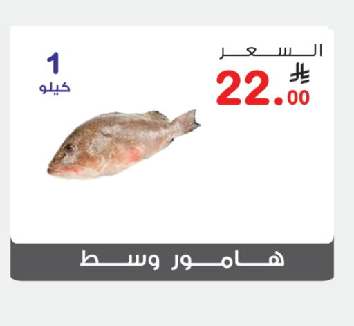 Fresh Fish in Al Rasheed Markets, Saudi Arabia Offers - Saudi Arabia available at Al Rasheed Markets in KSA, Saudi Arabia, Saudi - Riyadh