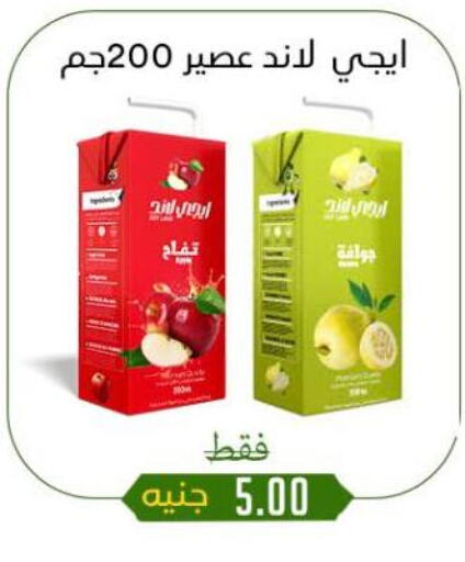 available at Khan Elhussein in Egypt - Cairo