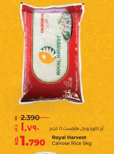 Calrose Rice available at Lulu Hypermarket  in Kuwait - Jahra Governorate