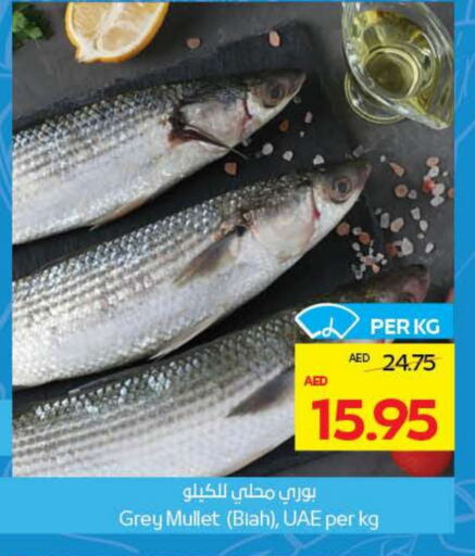 available at ADCOOP in UAE - Al Ain