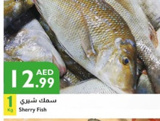 available at Istanbul Supermarket in UAE - Abu Dhabi