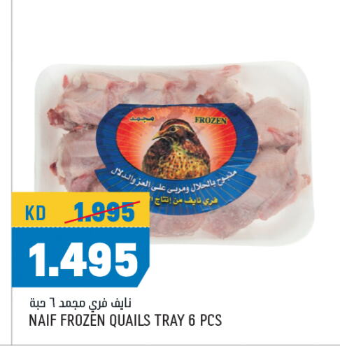 available at أونكوست in الكويت - محافظة الجهراء