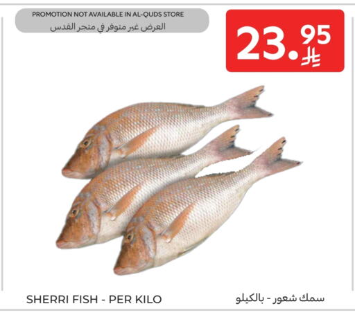 available at Carrefour in KSA, Saudi Arabia, Saudi - Riyadh