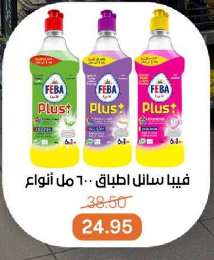 available at بيت الجملة in Egypt - القاهرة