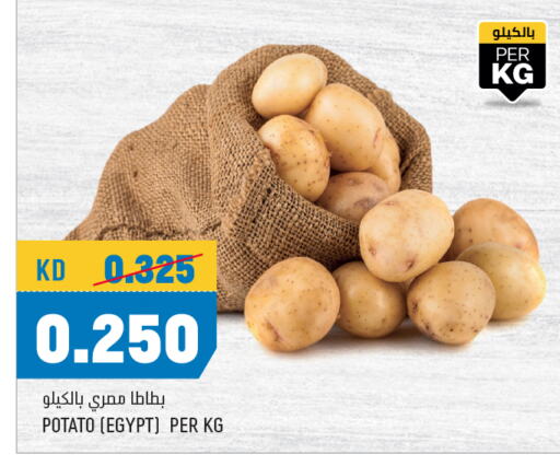 Potato from Egypt available at Oncost in Kuwait - Kuwait City