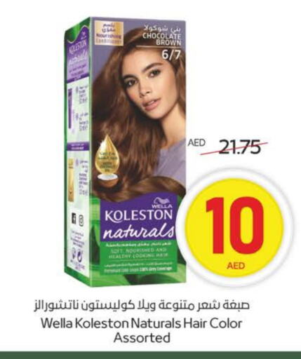 ويلا صبغة شعر available at ميغا مارت سوبر ماركت in الإمارات العربية المتحدة , الامارات - الشارقة / عجمان