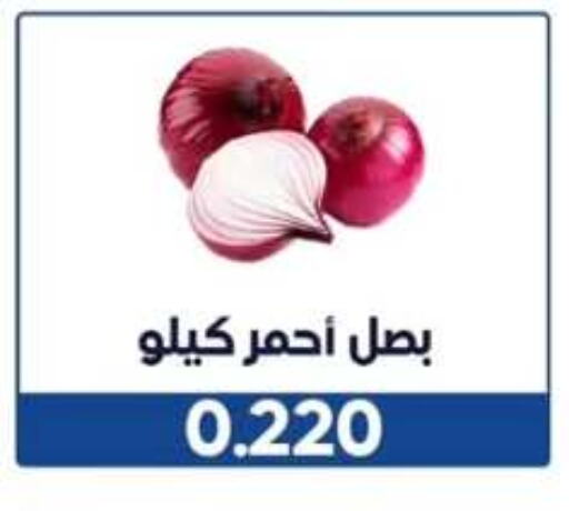 Onion available at Wafra Co-operative Society in Kuwait - Ahmadi Governorate