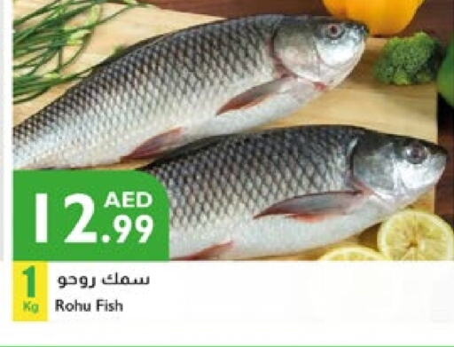 available at Istanbul Supermarket in UAE - Abu Dhabi