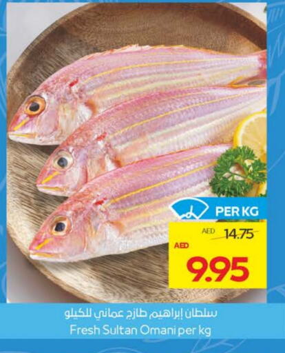 الأسماك الطازجة in ميغا مارت سوبر ماركت, UAE Offers - الإمارات العربية المتحدة available at ميغا مارت سوبر ماركت in الإمارات العربية المتحدة , الامارات - الشارقة / عجمان