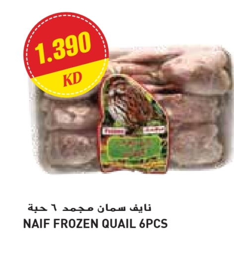 Frozen Meat in Grand Costo, Kuwait Offers - Kuwait available at Grand Costo in Kuwait - Ahmadi Governorate