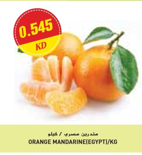 فاكهة طازجة in جراند كوستو, الكويت Offers - الكويت برتقال from Egypt available at جراند كوستو in الكويت - محافظة الأحمدي