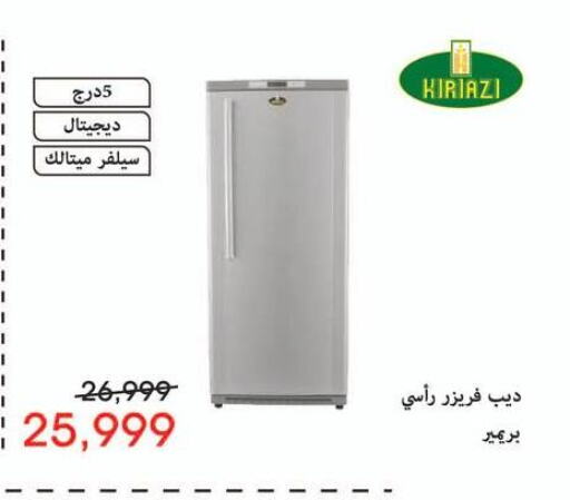 فريزر available at اسواق شارع عبد العزيز in Egypt - القاهرة