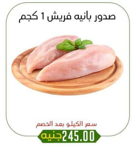 دجاج in خان الحسين, Egypt Offers - Egypt صدور دجاج available at خان الحسين in Egypt - القاهرة