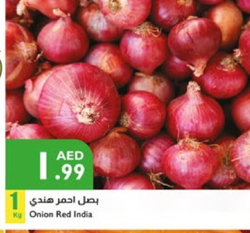 Onion from India available at Istanbul Supermarket in UAE - Al Ain