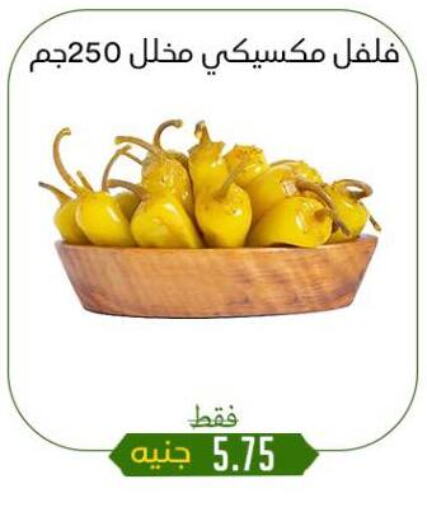 أغذية معلبة ومغلفة in خان الحسين, Egypt Offers - Egypt available at خان الحسين in Egypt - القاهرة