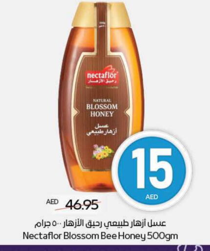 Honey available at ADCOOP in UAE - Al Ain