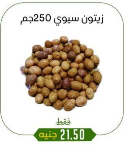 أغذية معلبة ومغلفة in خان الحسين, Egypt Offers - Egypt available at خان الحسين in Egypt - القاهرة