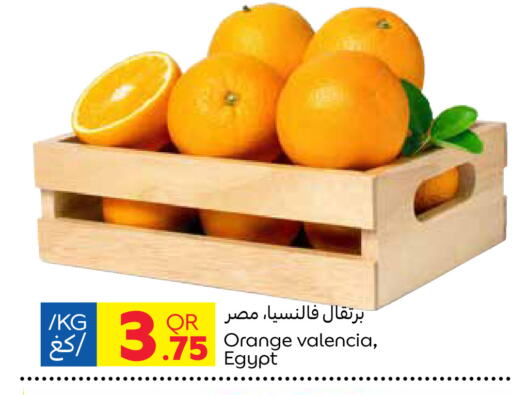 برتقال from Egypt available at كارفور in قطر - الخور