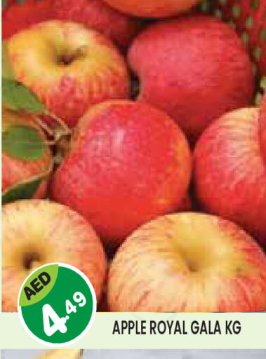 Apples available at Baniyas Spike  in UAE - Abu Dhabi