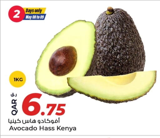 فاكهة طازجة in روابي هايبرماركت, قطر Offers - قطر أفوكادو from Kenya available at روابي هايبرماركت in قطر - الريان